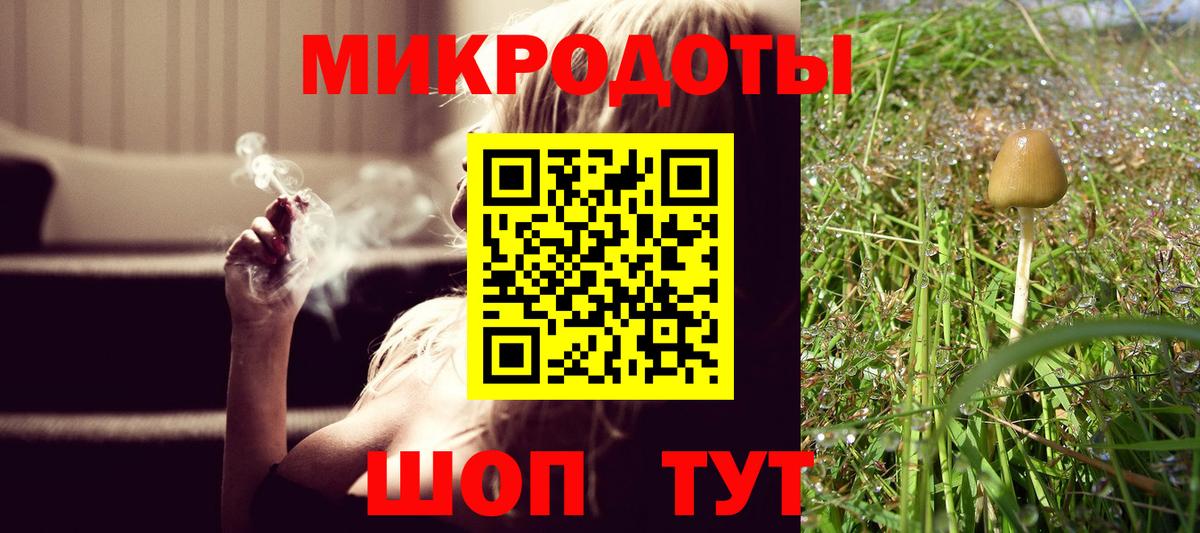 Галлюциногенные грибы Cubensis  Галлюциногенные грибы Psilocybe  цены наркотик  Вход с VPN  Кизляр 